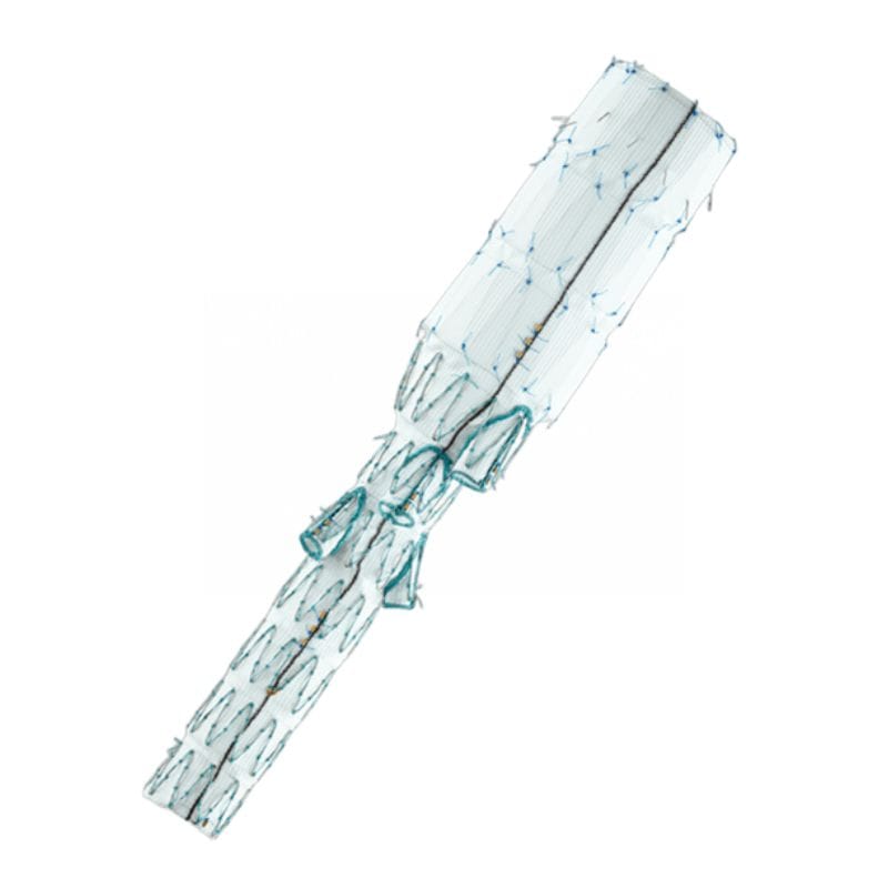 Prótesis Endovascular Thoracoabdominal